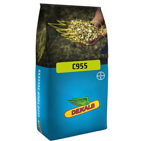 Mısır Tohumu Silajlık Dekalb C955 paketi