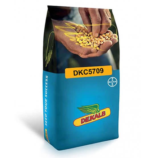 Mısır Tohumu Danelik Dekalb DKC5709 paket