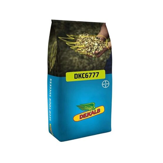 Mısır Tohumu Slajlık Dekalb DKC6777